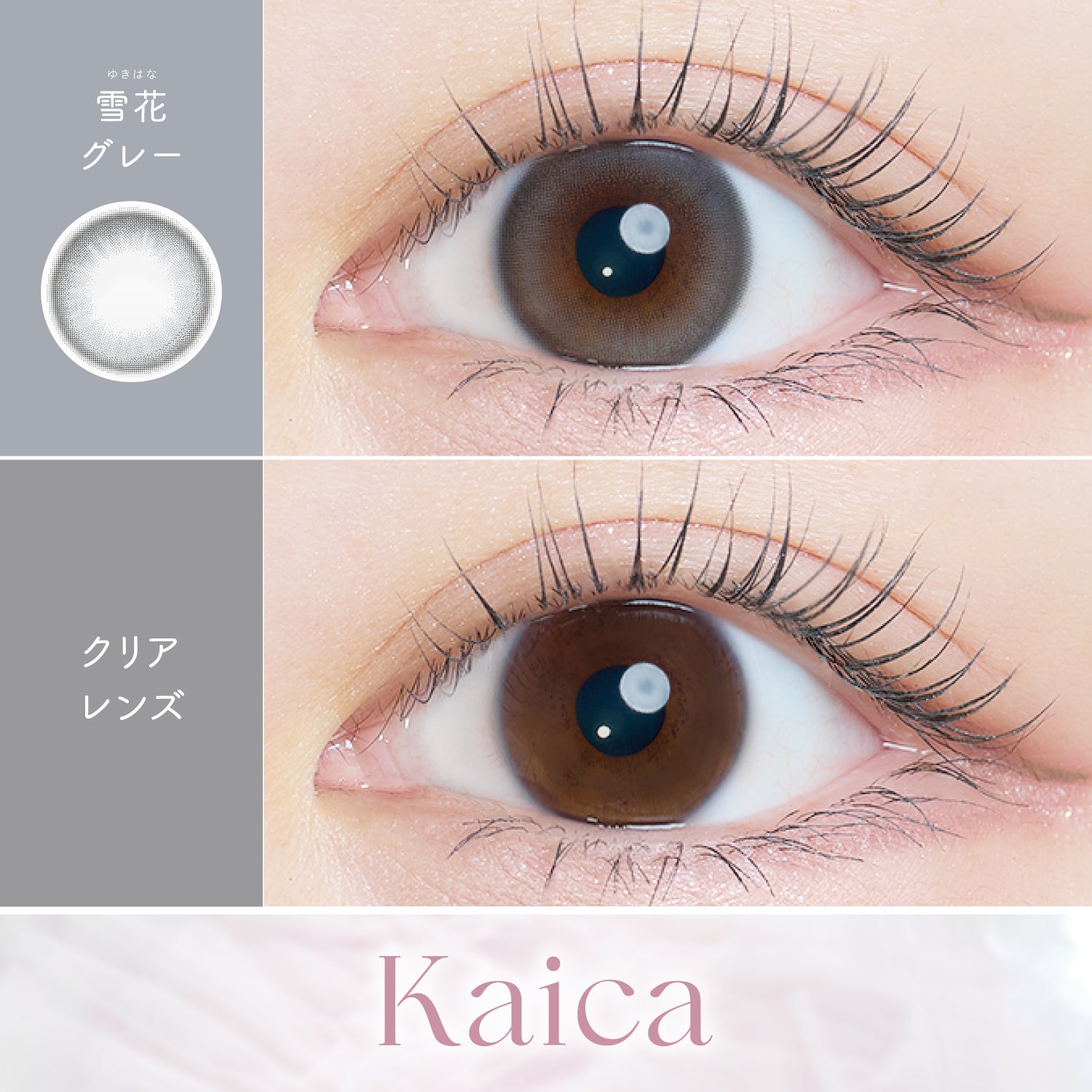 Schneeblüte Grau [Kaica] | 1day 