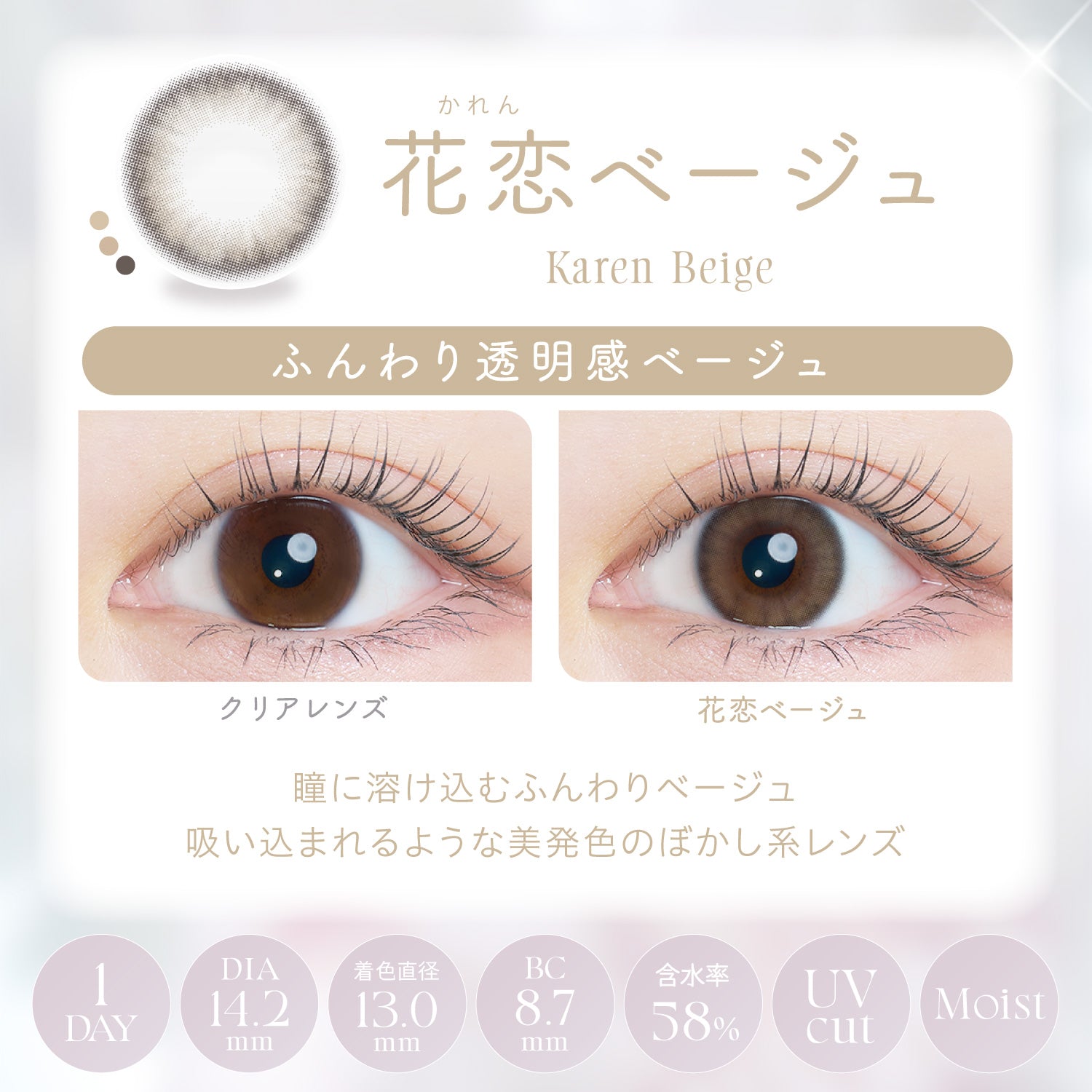 Beige Hanakoi [Kaica] | 1day 