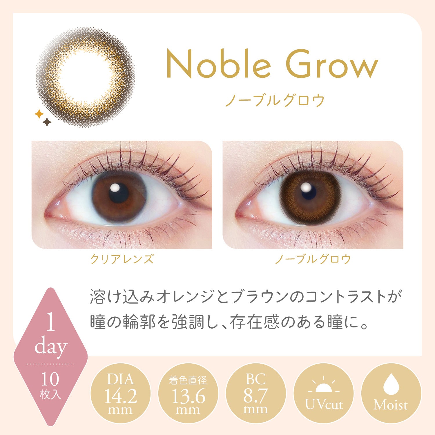 Noble Glow | 1day