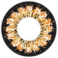 快乐棕色 [MoMonster] | 1month 