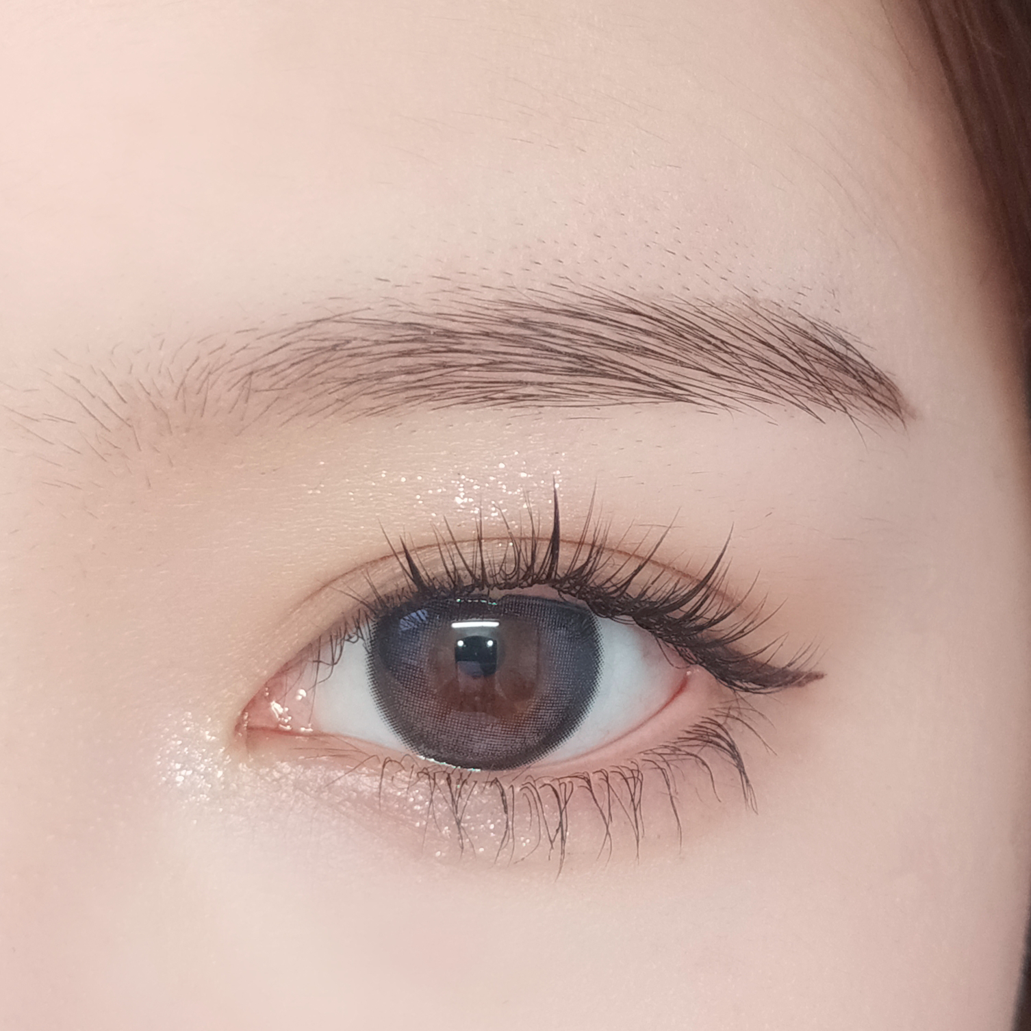 Baie magique [FOMOMY] | 1month 