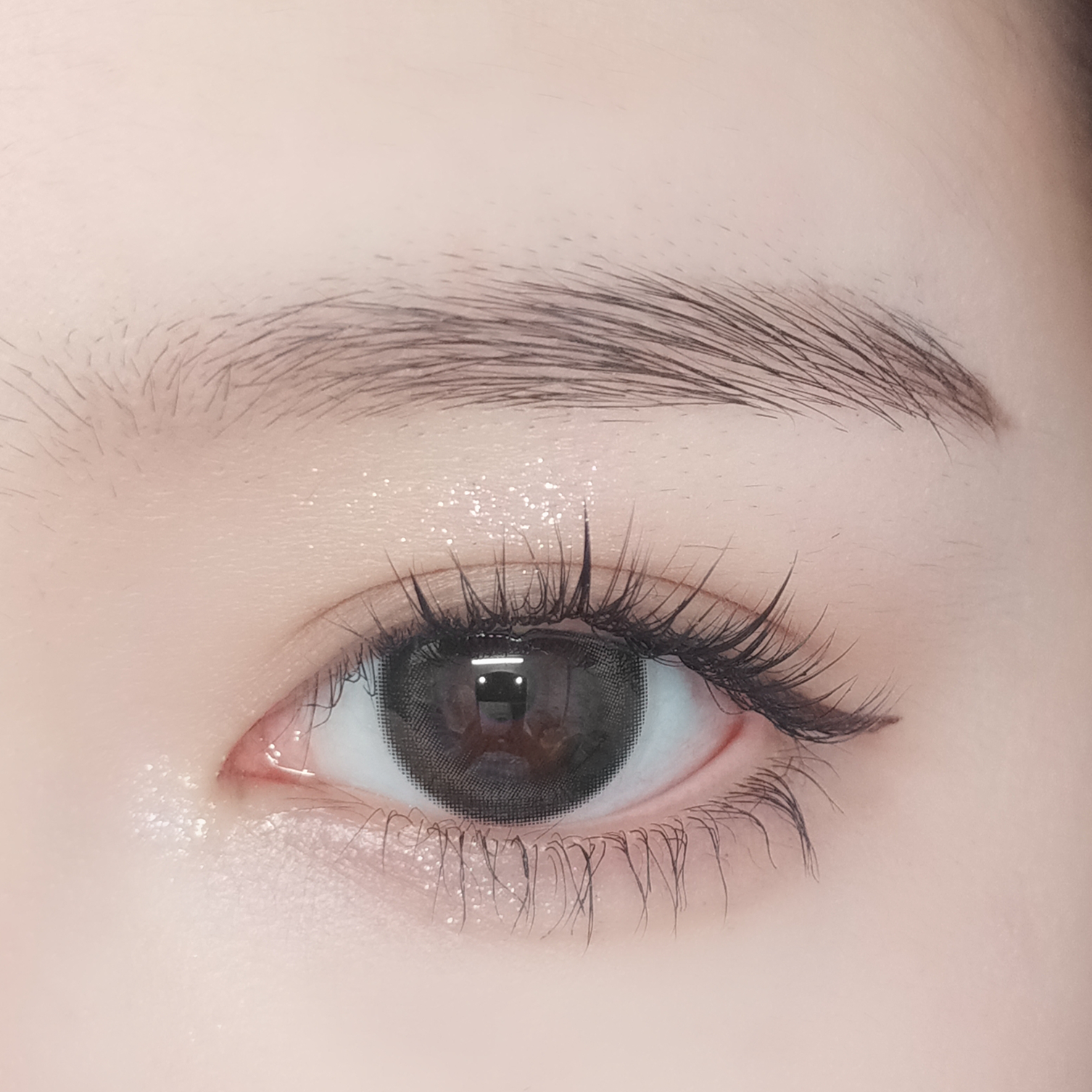 Magic Brown [FOMOMY] | 1month 