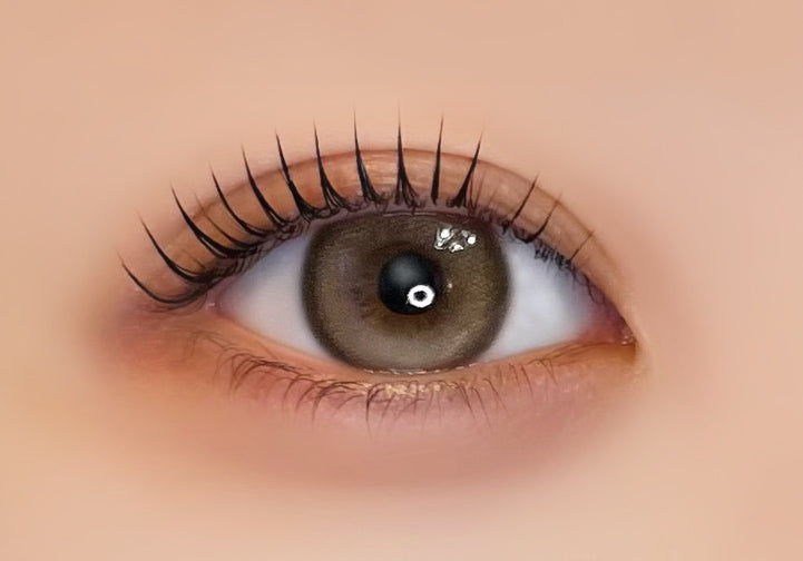 Maintenance [Ferenne] | 1day 