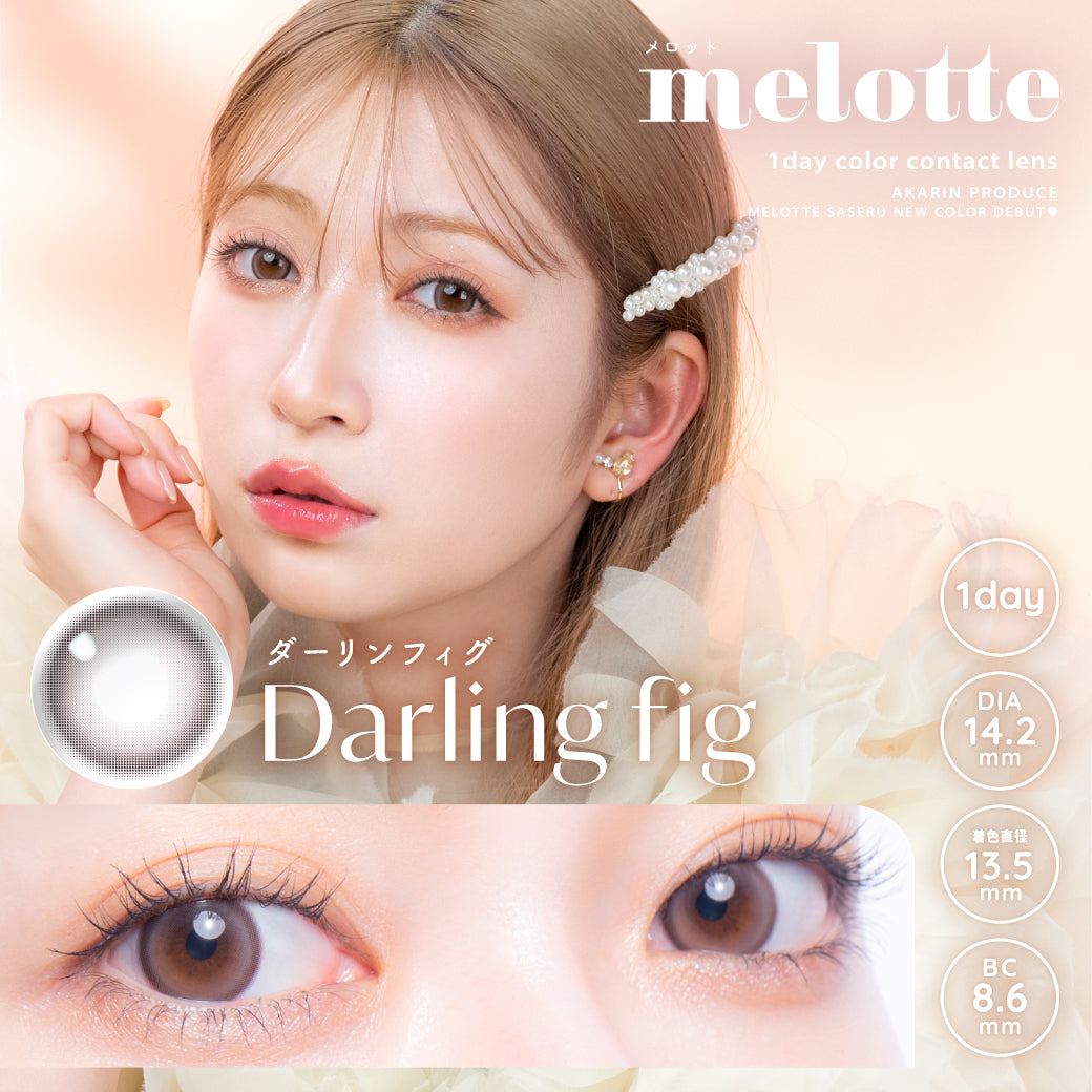 Darling Fig  [melotte] | 1day