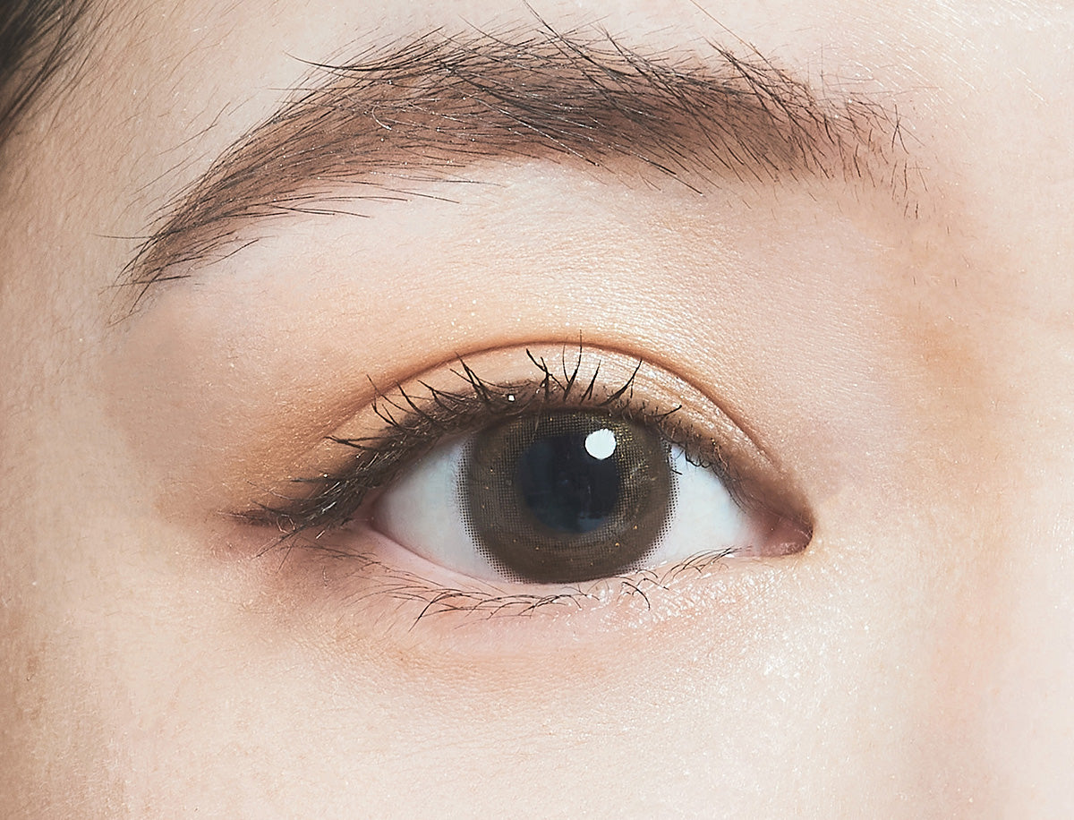 สีน้ำตาลเงา [FOMOMY] | 1day 