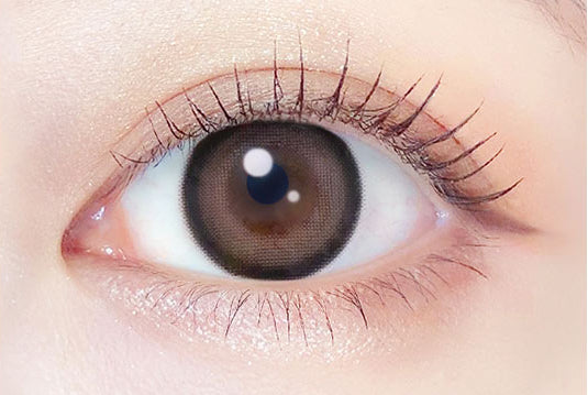 テディモカ [EverColor] | 1month