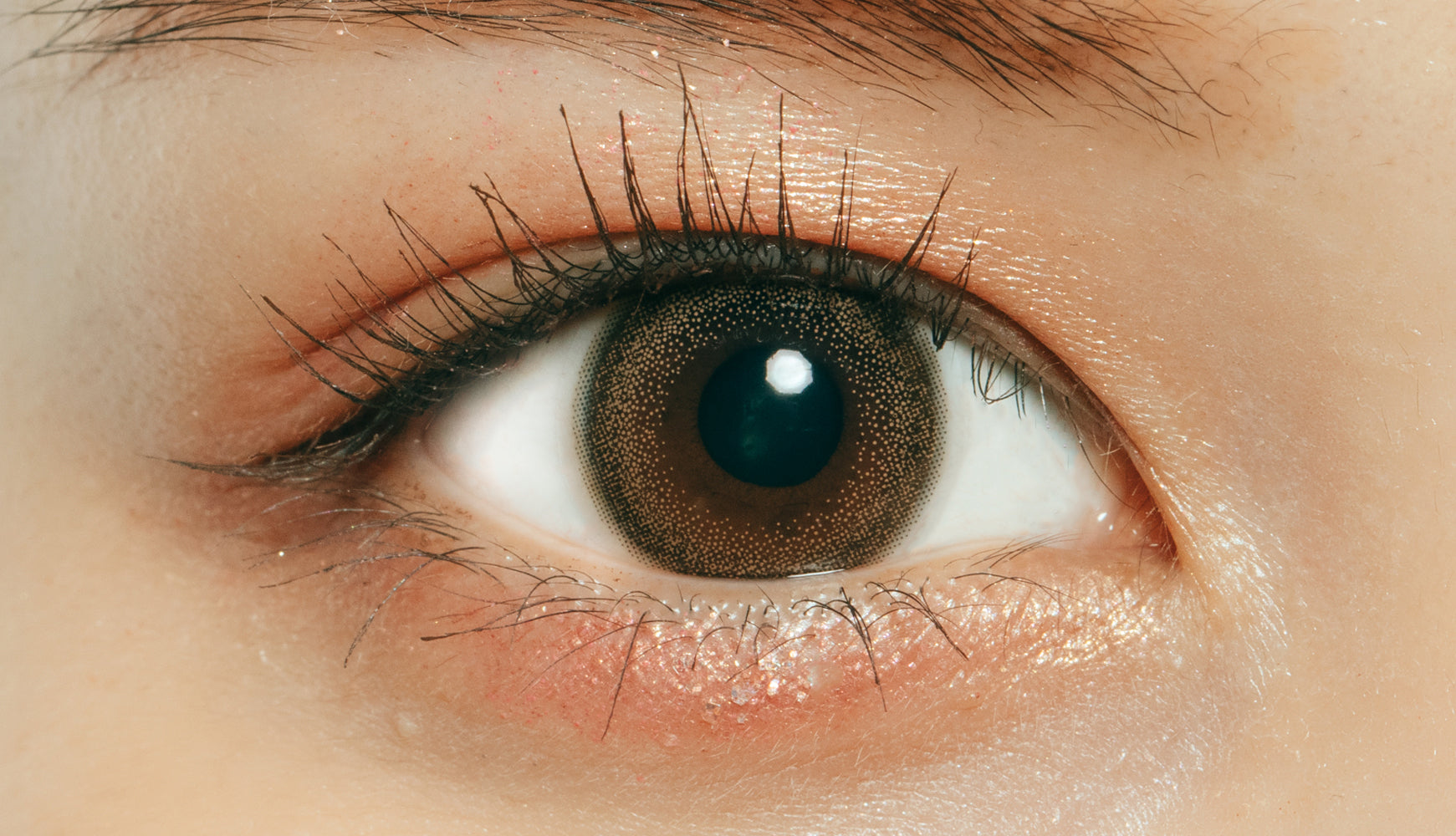 カラーコンタクトレンズ、ramurie キャラメルブラウン | 1dayを装用した状態の目のアップ画像