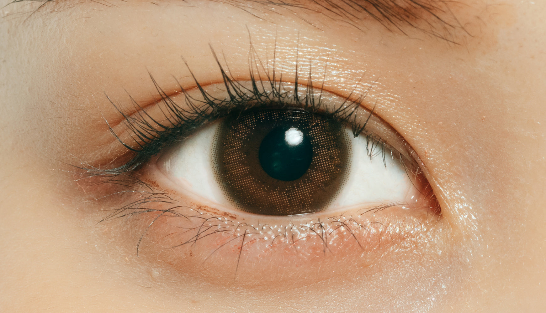 カラーコンタクトレンズ、ramurie シェリブラウン | 1dayを装用した状態の目のアップ画像