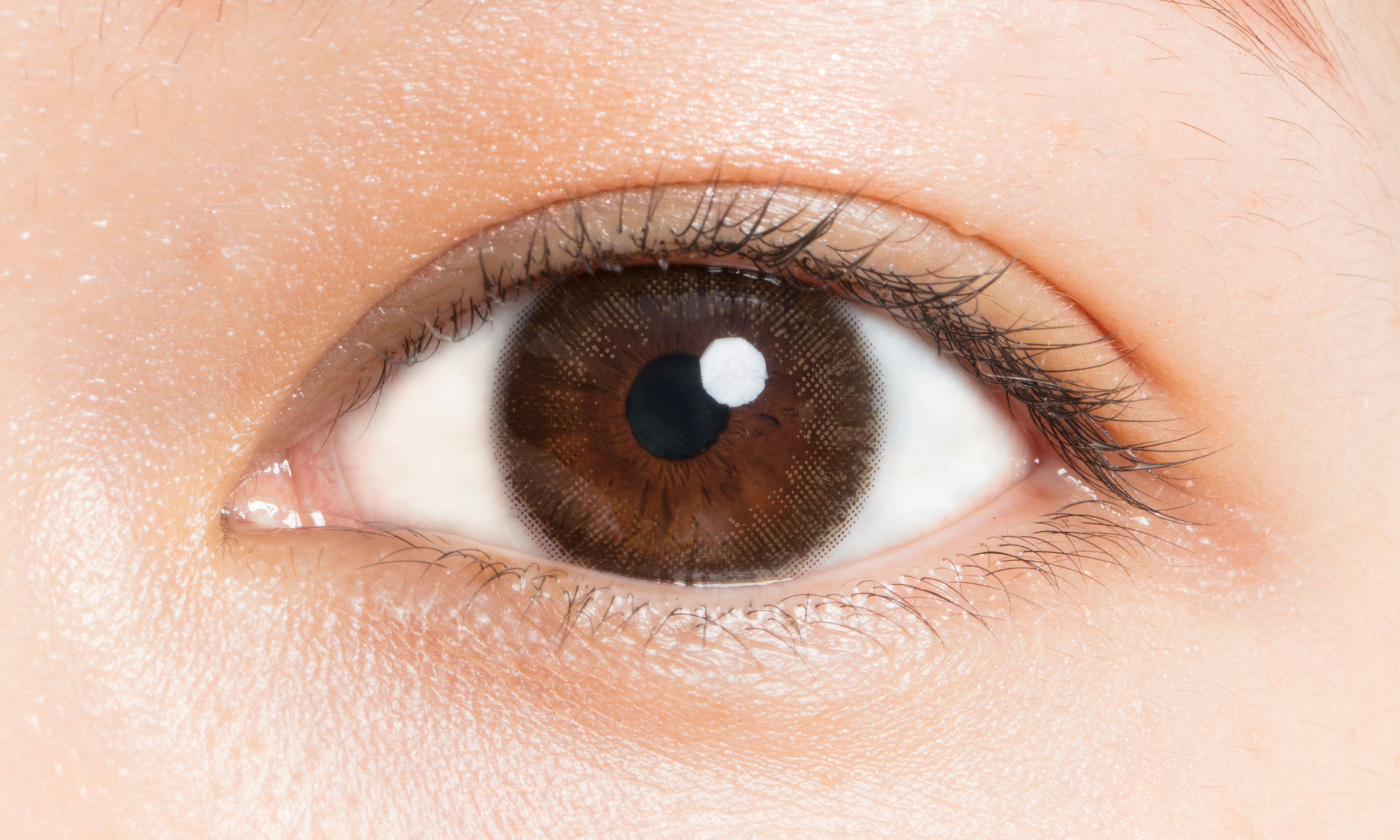 カラーコンタクトレンズ、LuMia ヌーディーブラウンプラス モイスチャー 14.5mm | 1dayを装用した状態の目のアップ画像