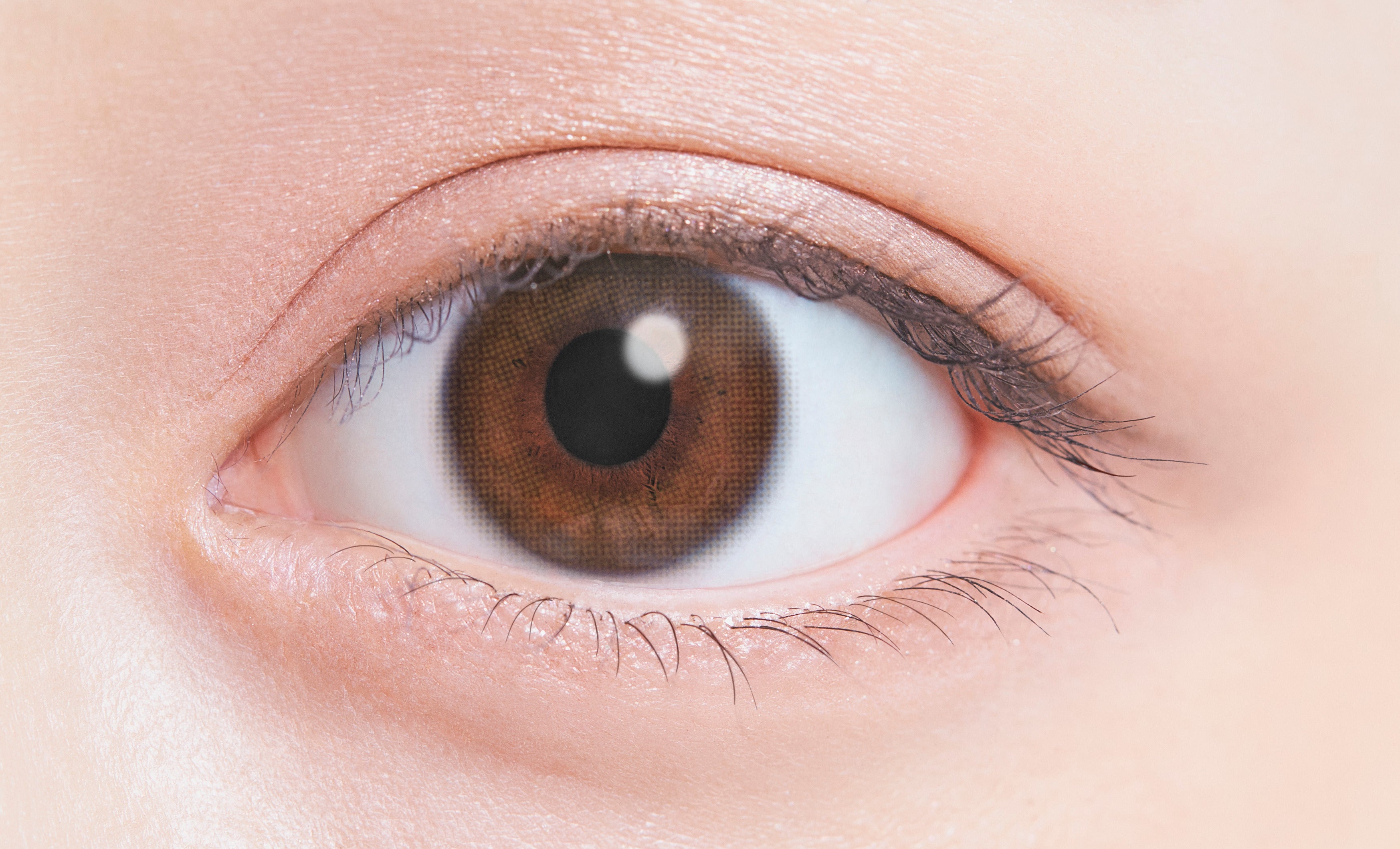 カラーコンタクトレンズ、ふわナチュラル ふわブラウン | 1dayを装用した状態の目のアップ画像