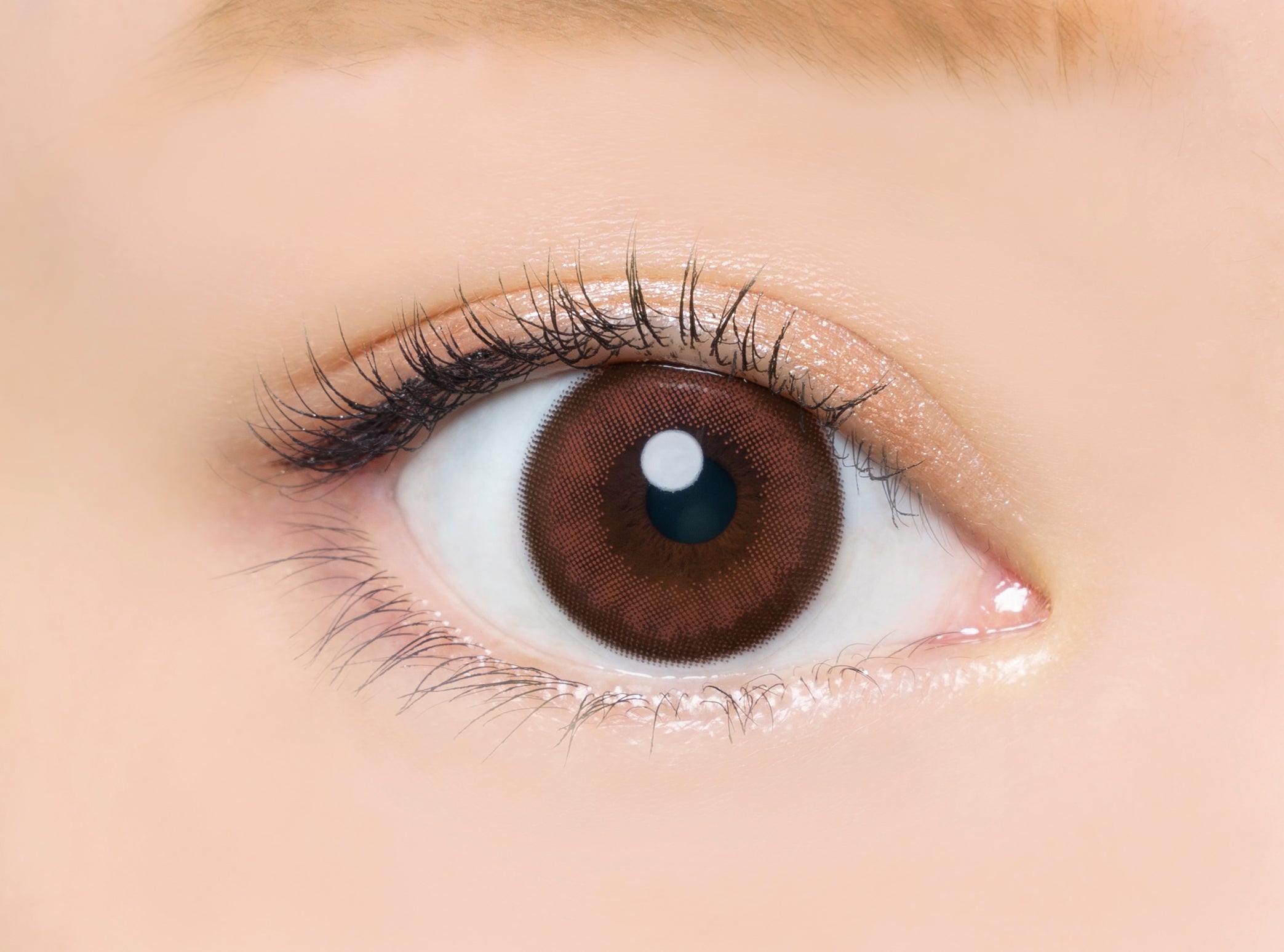 カラーコンタクトレンズ、Angelcolor カシスブラウン | 1day 30枚入を装用した状態の目のアップ画像
