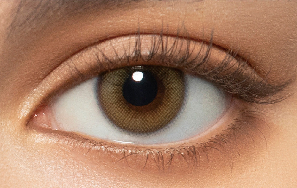 カラーコンタクトレンズ、MerMer ジェムブラウン | 1dayを装用した状態の目のアップ画像