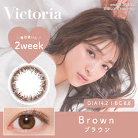 ブラウン [Victoria] | 2week