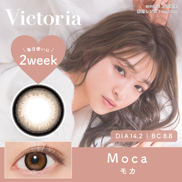 カラーコンタクトレンズ、Victoria モカ | 2weekのモデルイメージ画像