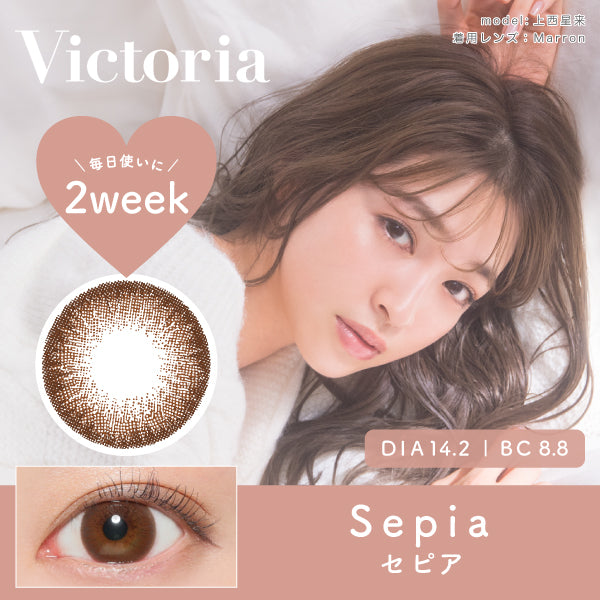 セピア | 2week DIA 14.2mm - Victoria | ヴィクトリア - Push!Color カラコン買うならプッシュカラー