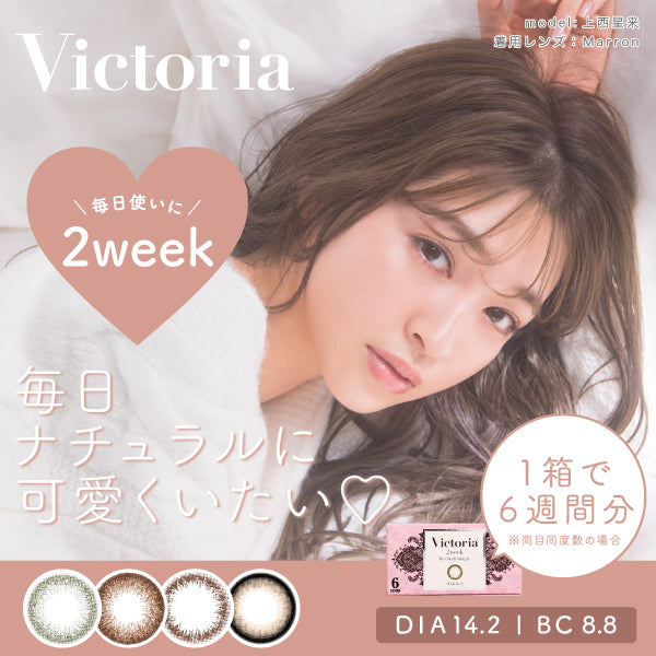 マロン [Victoria] | 2weekカラコン - DIA 14.2mm | Push!Color